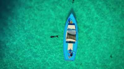 DIVA: Swimming from the boat out
is definitely - Welcome to Earth