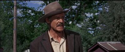 Silver rings - The Wild Bunch
