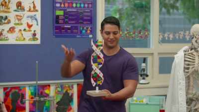 DNA is a two-stranded molecule
containing a unique chemical code - The School That Tried to End Racism