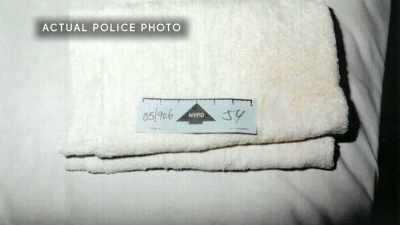 DNA, in a case like this, 
is essential, - New York Homicide