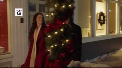 - Do you always
see the bright side? - Christmas at Pemberley Manor