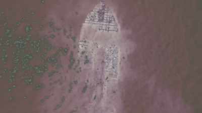Do they continue forward - Going to Mars: The Nikki Giovanni Project