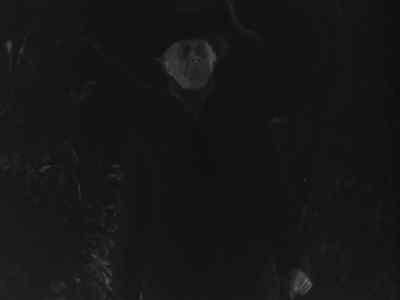 Do dead men walk? - The Ghoul