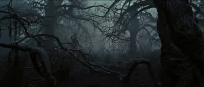 Do you drink to drown your sorrows? - Snow White and the Huntsman