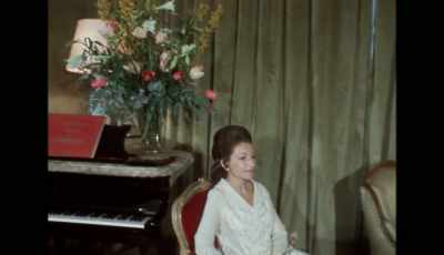 Do you have a precise plan
or a desire you would like to fulfill? - Maria By Callas
