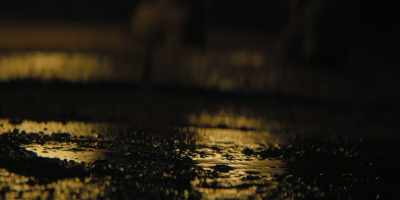 Do you have any idea
what Peter would have been doing down here? - Dan Brown's The Lost Symbol