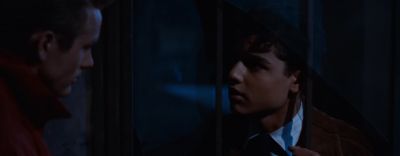 Do you have any idea why you shot those puppies - Rebel Without a Cause