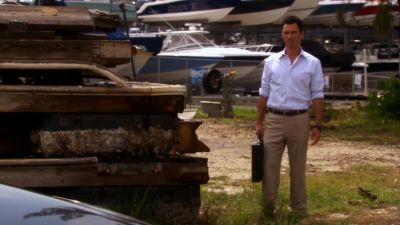Do you have butterflies?
I have butterflies. - Burn Notice