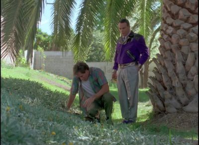 Do you have to sneak up on me - Quantum Leap