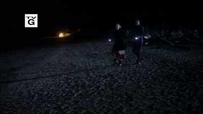 - Do you hear anything?
- No. - Walking the Dog
