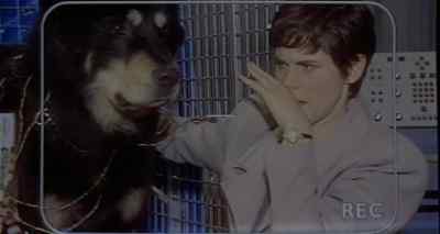 Do I look okay? - Man's Best Friend