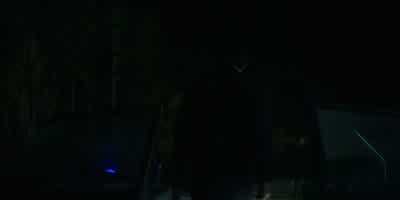 Do I steal? - Ozark