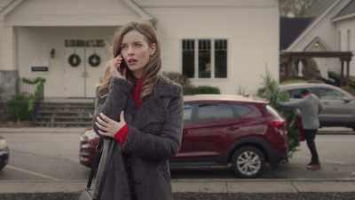 Do you know where I could get - A Taste of Christmas