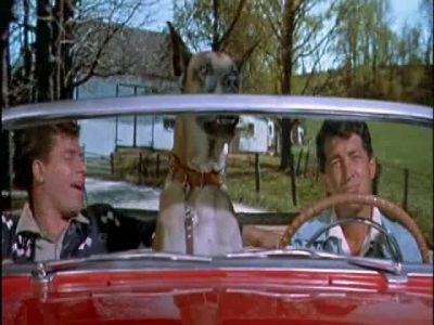 Do you know when I first found out I was lucky - Hollywood or Bust