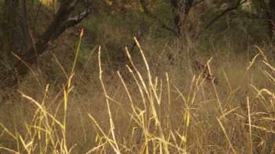Do you know where Sayf took
Grace and the children? - Professionals