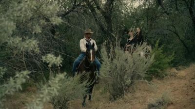 Do you know where we're going? - Two Sinners and a Mule