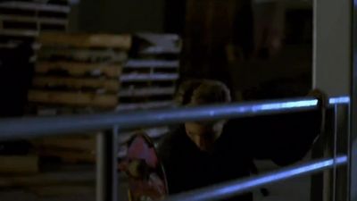 Do you know what a farm vet does - Gleaming the Cube