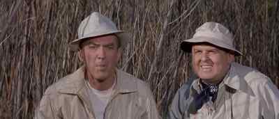 - Do you know what that is, Hobbsy?
- Barn swallow? - Mr. Hobbs Takes a Vacation
