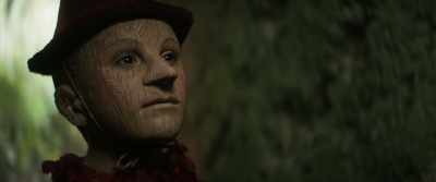 Do you like? Did you see
the seedling as it bloomed? - Pinocchio