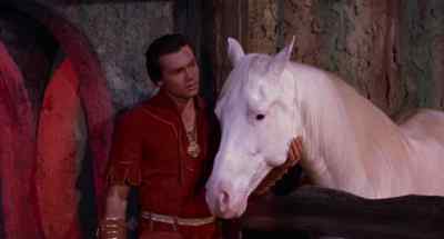 Do you like him? - The Magic Sword