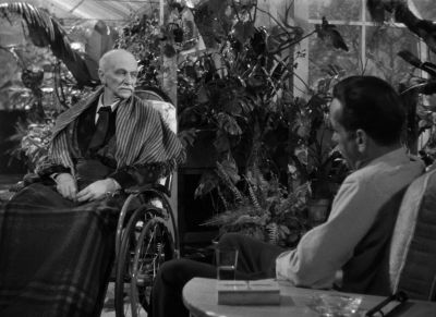 Do you like orchids - The Big Sleep