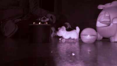 Do you like us being here, dean, - Portals to Hell