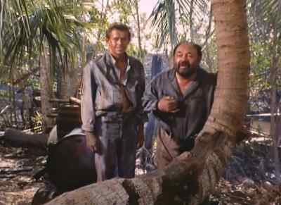 Do we look like the law? - Wind Across the Everglades