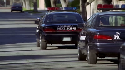 Do you need the person
with the gun - Sound of the Police