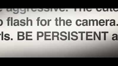 Do no give up. Be persistent. - Girls Gone Wild: The Untold Story