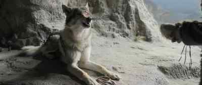 Do not bite me. - Alpha