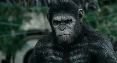 Do not come back. - Dawn of the Planet of the Apes