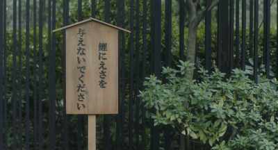 DO NOT FEED THE FISH - Close-Knit