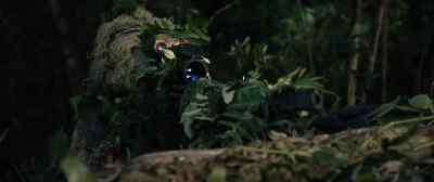Do not you go with us to our new home? - Sniper: Ultimate Kill
