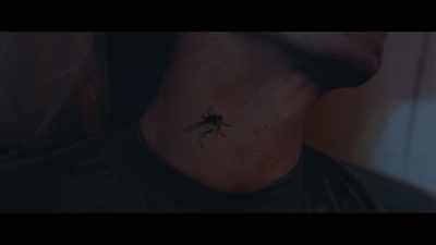 Do not-- - The Deadly Swarm