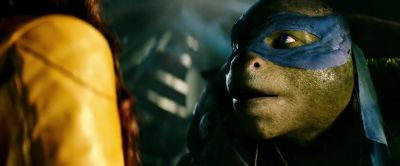 Do not say a word about this to anyone - Teenage Mutant Ninja Turtles