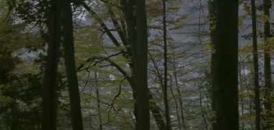 Do police know
where Sheela is at this time? - Wild Wild Country