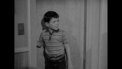 Do you really gotta have to
cut it off? - Leave It to Beaver
