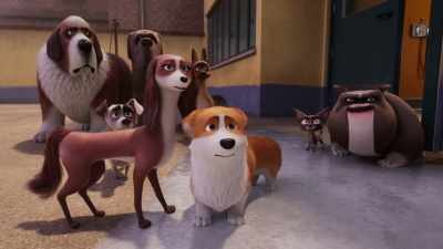 Do you really think someone would follow a loser like you? - The Queen's Corgi