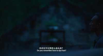 Do you remember how to dye hair? - Long Day's Journey into Night
