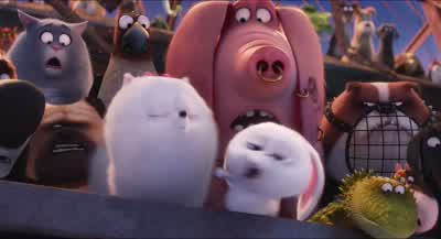 Remember me - The Secret Life of Pets