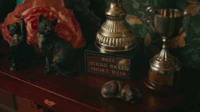 Do you remember winning, um,
"best mixed breed short-hair"? - Extraordinary