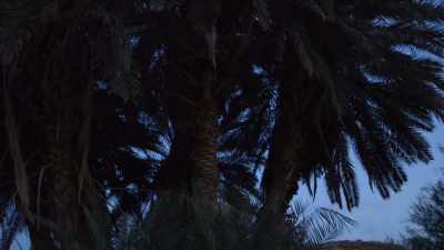 Do you repay deceit with deceit? - The Book of Genesis