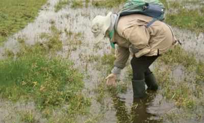 Do you see how it is trampled
By the horses that drink here? - Geographies of Solitude