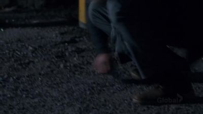 - Do you see that?
- ROHAN, GET DOWN! - Private Eyes