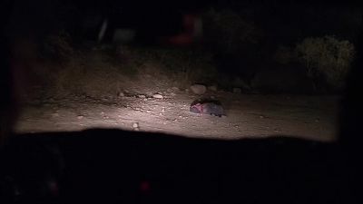         Do you see that? - CSI: Crime Scene Investigation