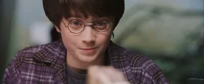 Do you talk to people often? - Harry Potter and the Philosopher's Stone
