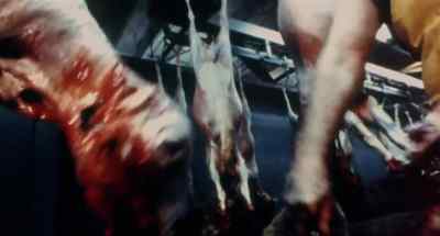 Do the animals know they are going to die - Faces of Death