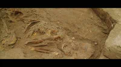 -Do you think among these
people there was anyone - Human Nature