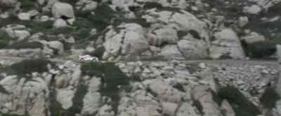 Do you think
Audi will be able to recover? - Race for Glory: Audi vs Lancia