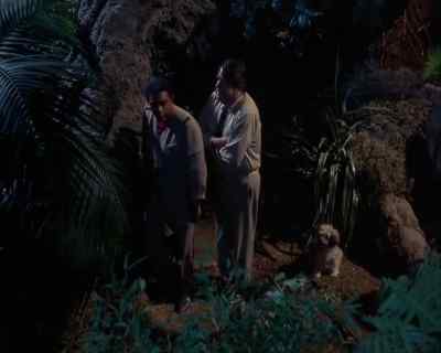 Do you think everything's
going to be all right? - Land of the Giants